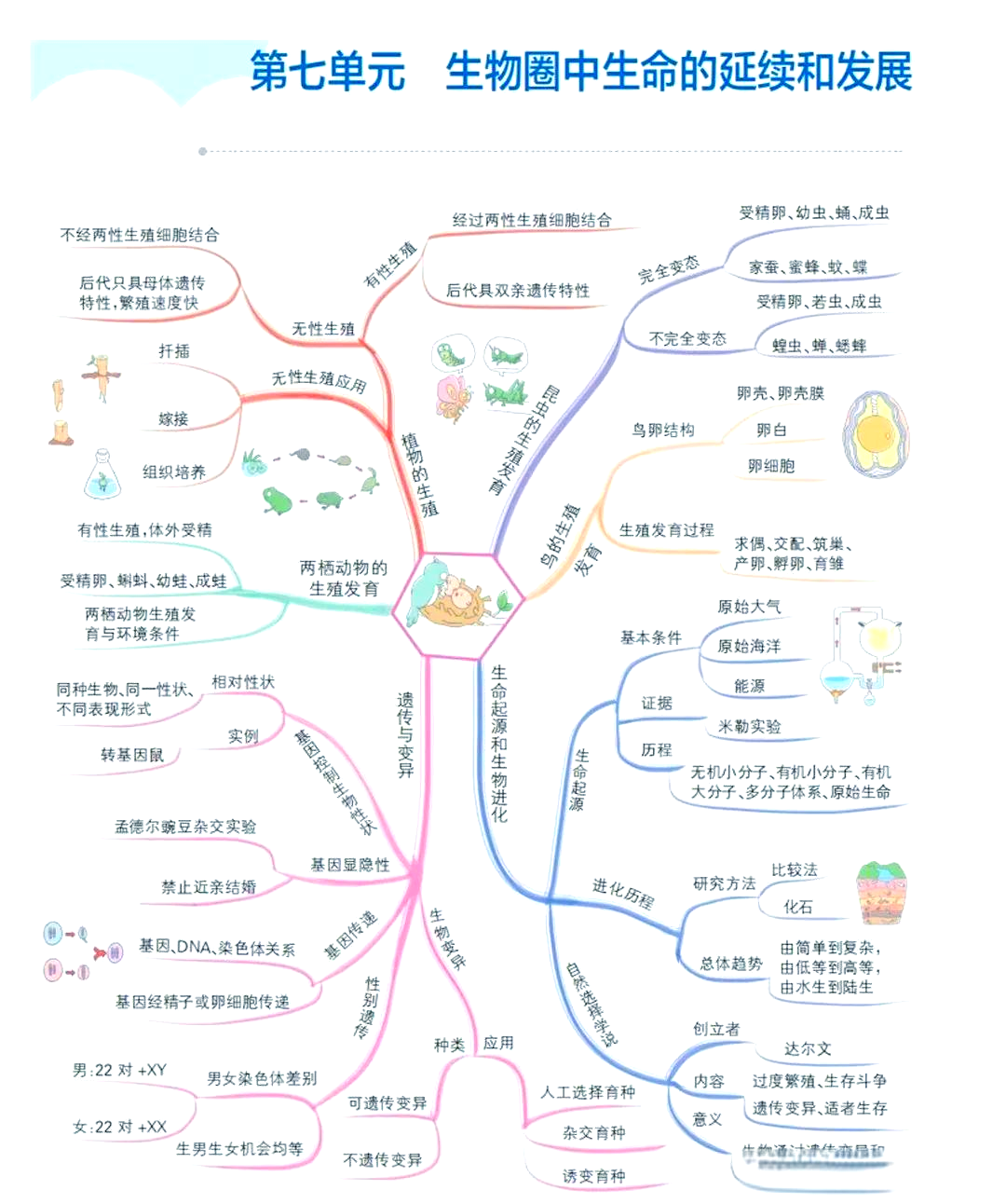 音乐与生命科学的关联,音乐与生命科学的关联是什么