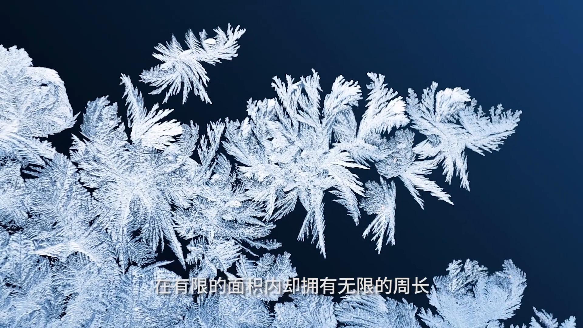 物理世界人造雪花实验,初二在家做的物理小实验人造雾凇