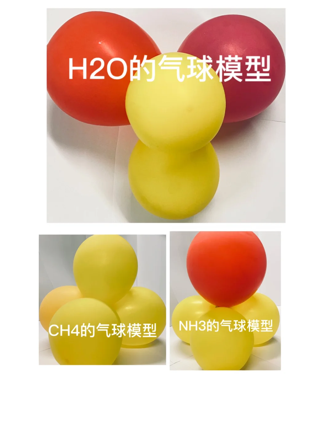 生命科学模拟气球实验,生命科学模拟气球实验报告