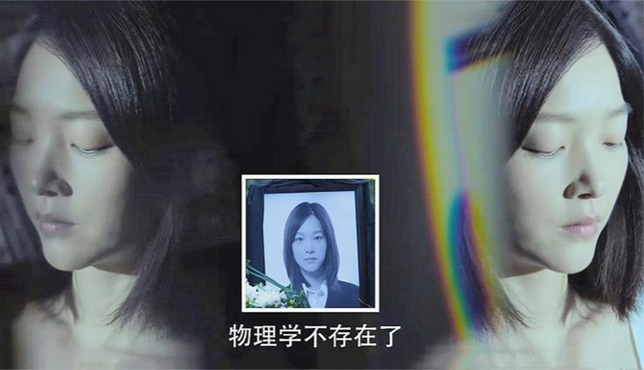 杨花花的物理世界,花花世界里的花花蝴蝶