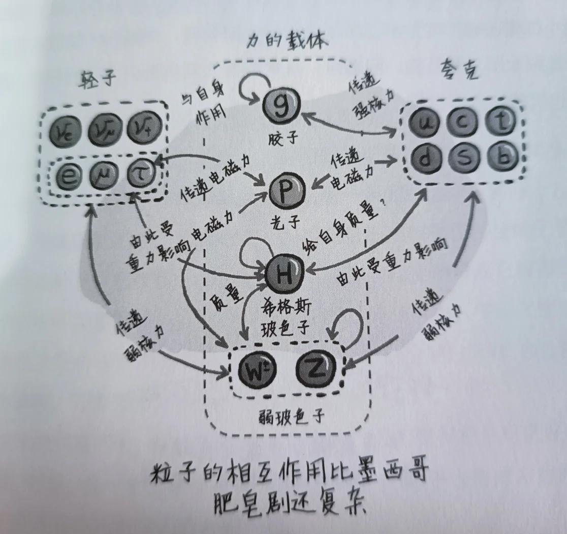 物理世界基本力,物理世界基本力知识点