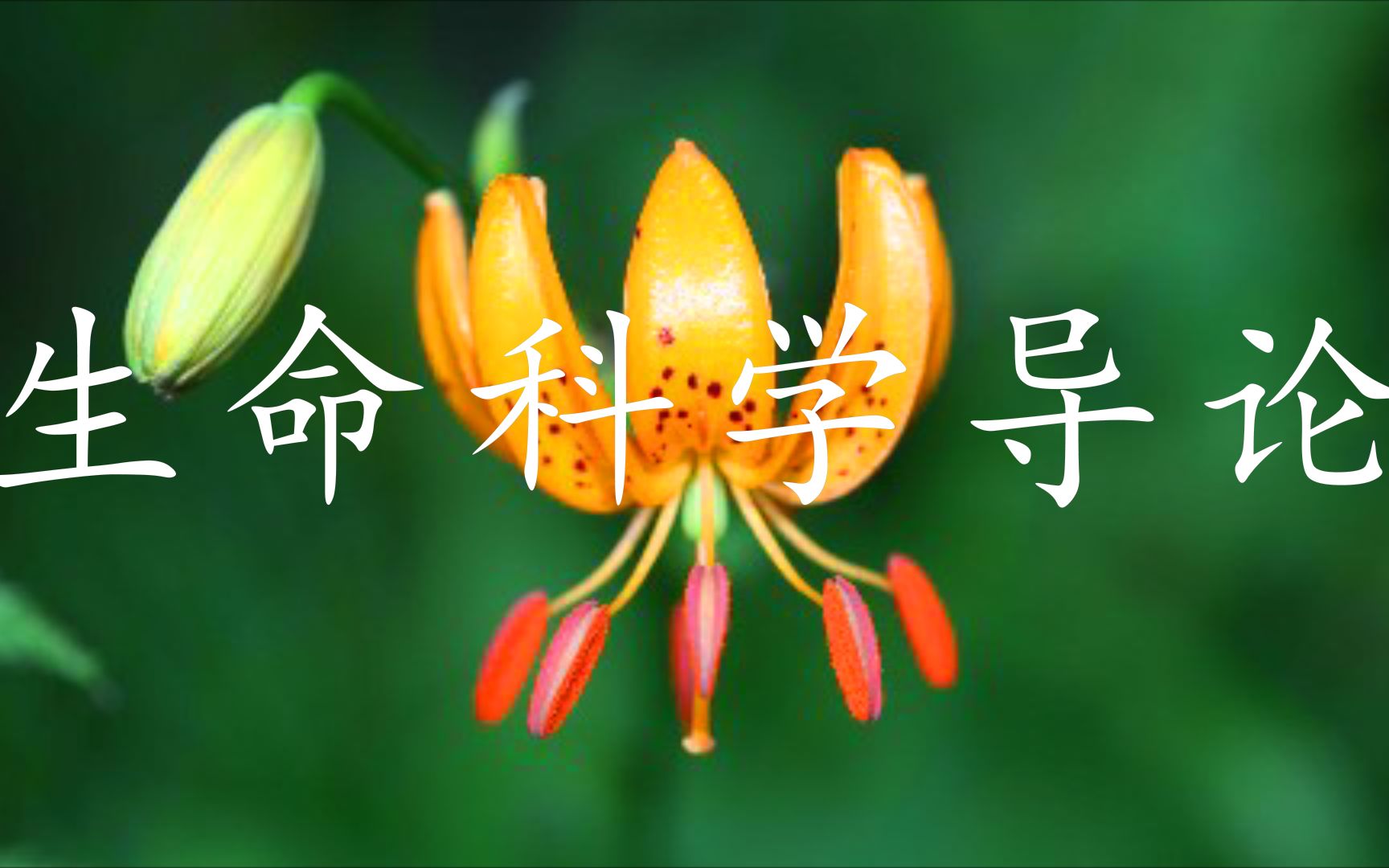 生命科学导论饶毅,饶毅科普关于朱博士事实胜于雄辩
