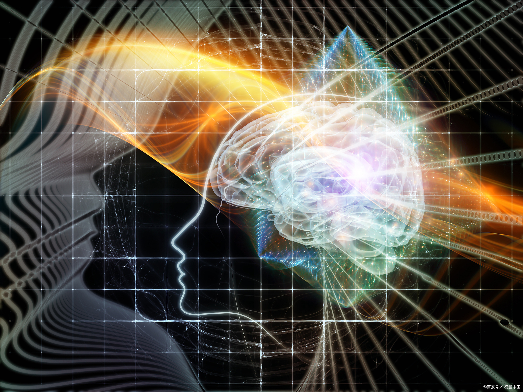 身心灵生命科学,生命科学与人类健康的关系