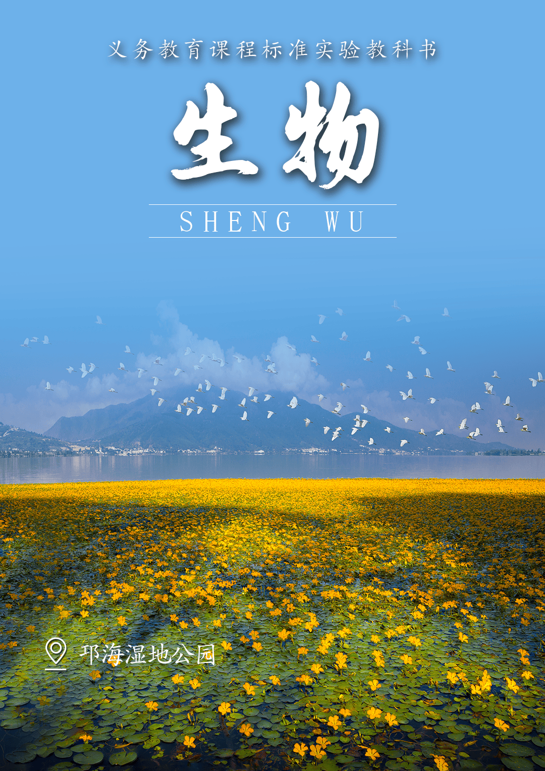 生命科学导论海报,细胞生物学前沿科技海报 生命科学导论海报,细胞生物学前沿科技海报