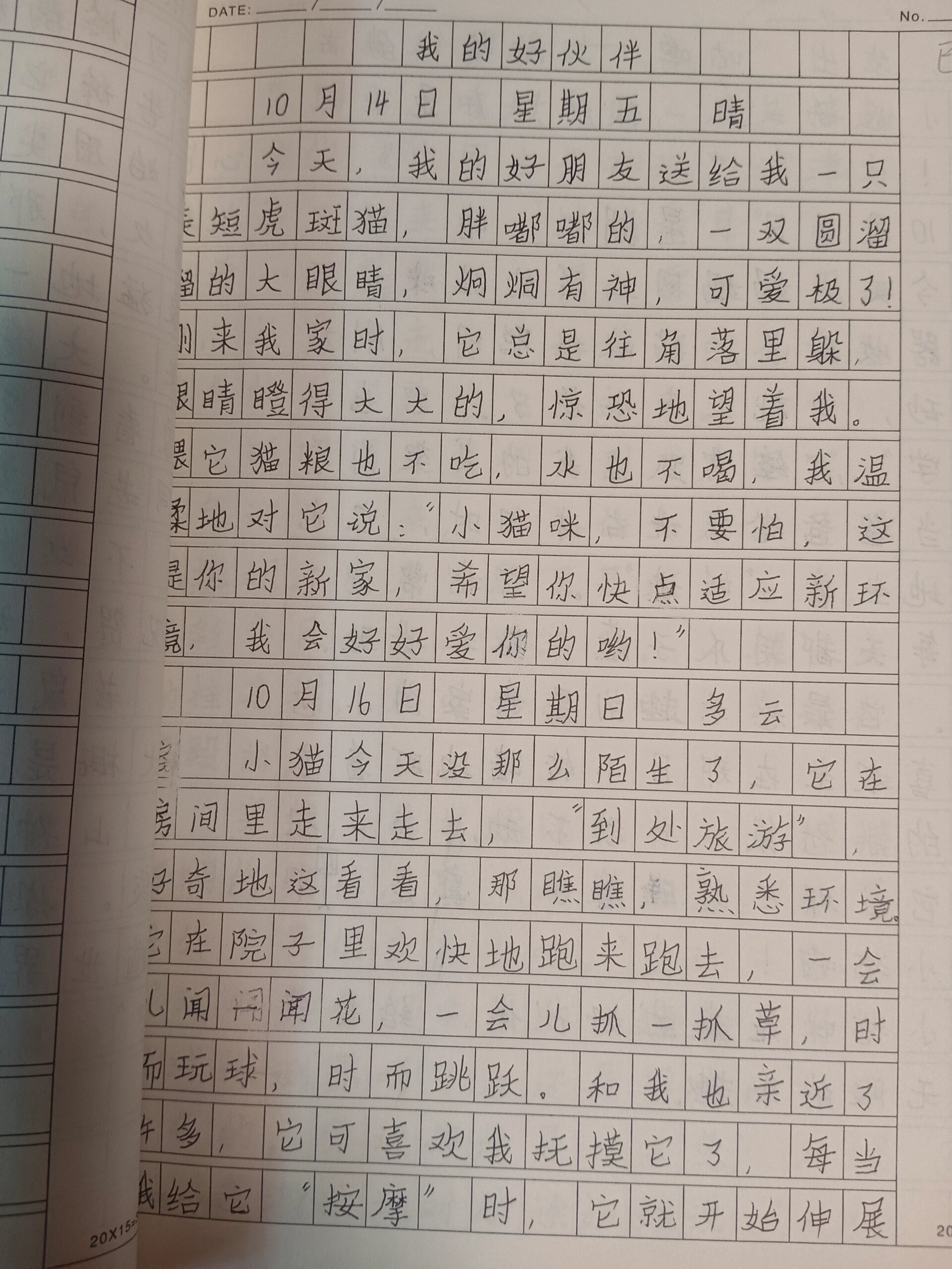 生命科学日记怎么写,三年级的科学日记怎么写加画画 生命科学日记怎么写,三年级的科学日记怎么写加画画