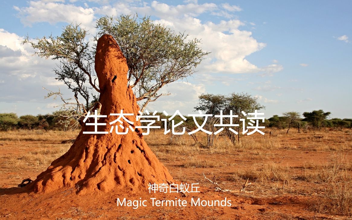 科技前沿无极限论文,物理科技前沿最新成就 科技前沿无极限论文,物理科技前沿最新成就
