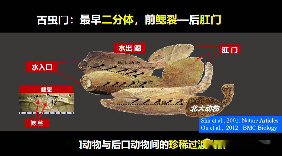 生命科学原来叫什么,生命科学都涵盖哪些方面