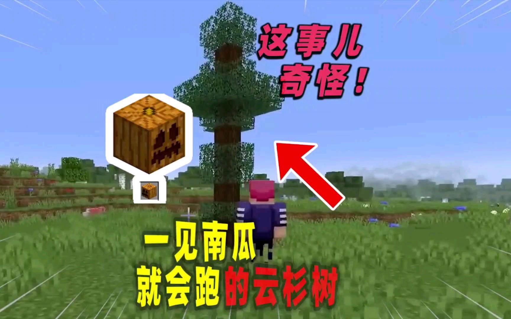 物理世界怎么让树变异,我的世界怎么让树长得很高