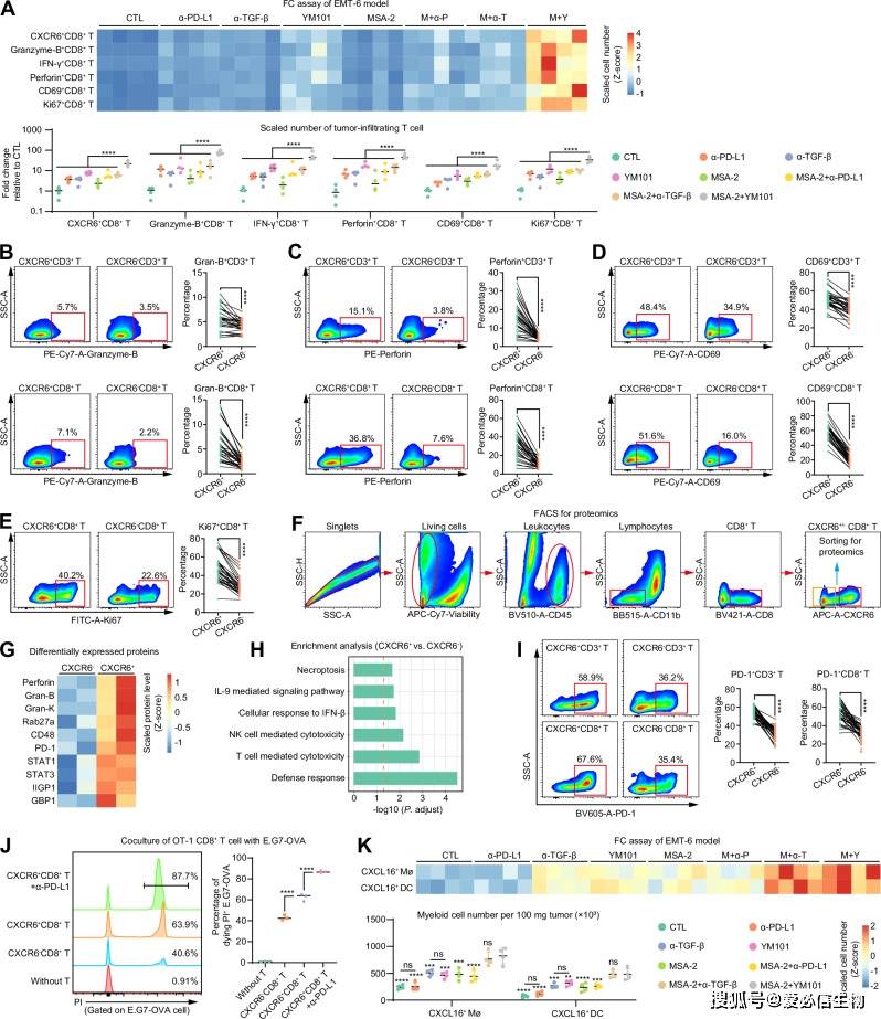 生命科学最前沿的领域,生命科学领域的研究方向 生命科学最前沿的领域,生命科学领域的研究方向