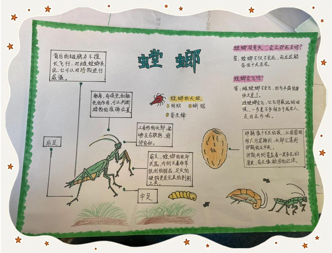 生物科技前沿小报图文,生物科技前沿小报图文素材