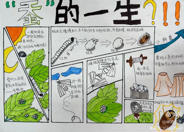 生命科学实践探索,生命科学探究的基本步骤