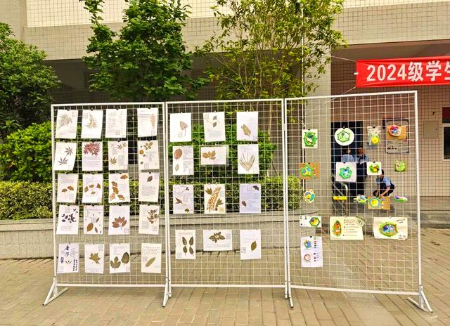 生命科学实践探索,生命科学探究的基本步骤 生命科学实践探索,生命科学探究的基本步骤