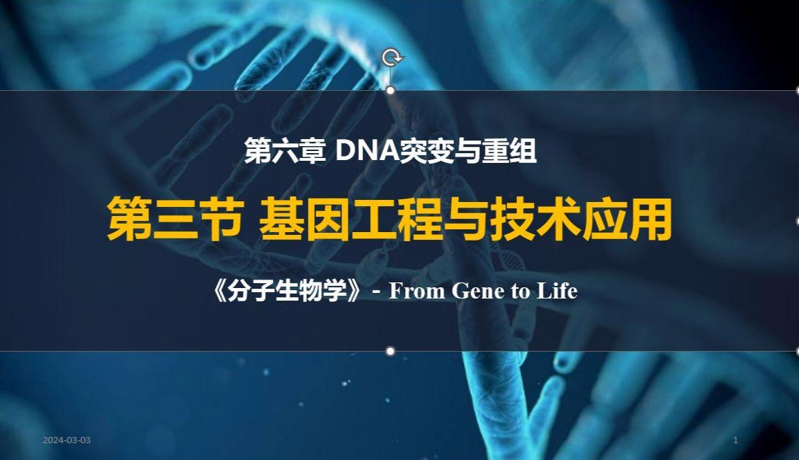 基因工程与生命科学,基因工程和生物工程专业区别 基因工程与生命科学,基因工程和生物工程专业区别