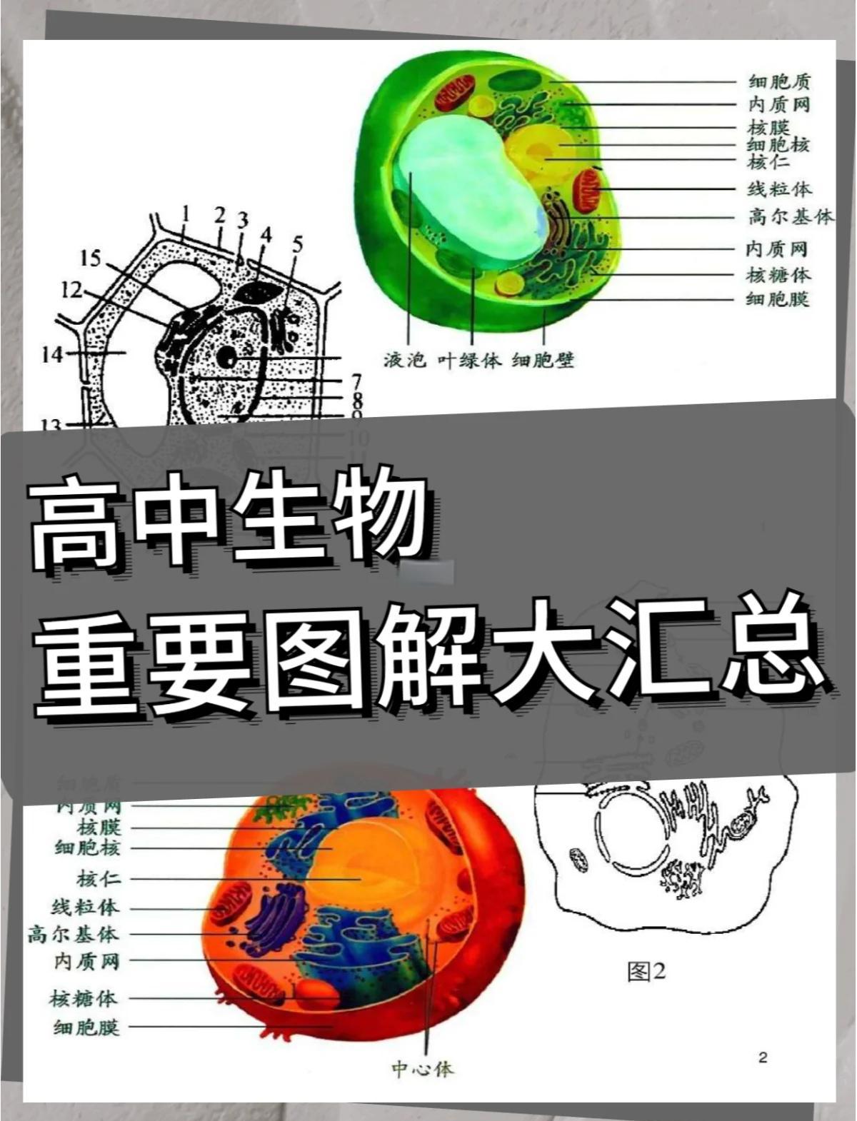 现代生命科学知识体系,现代生命科学前沿及应用生物技术