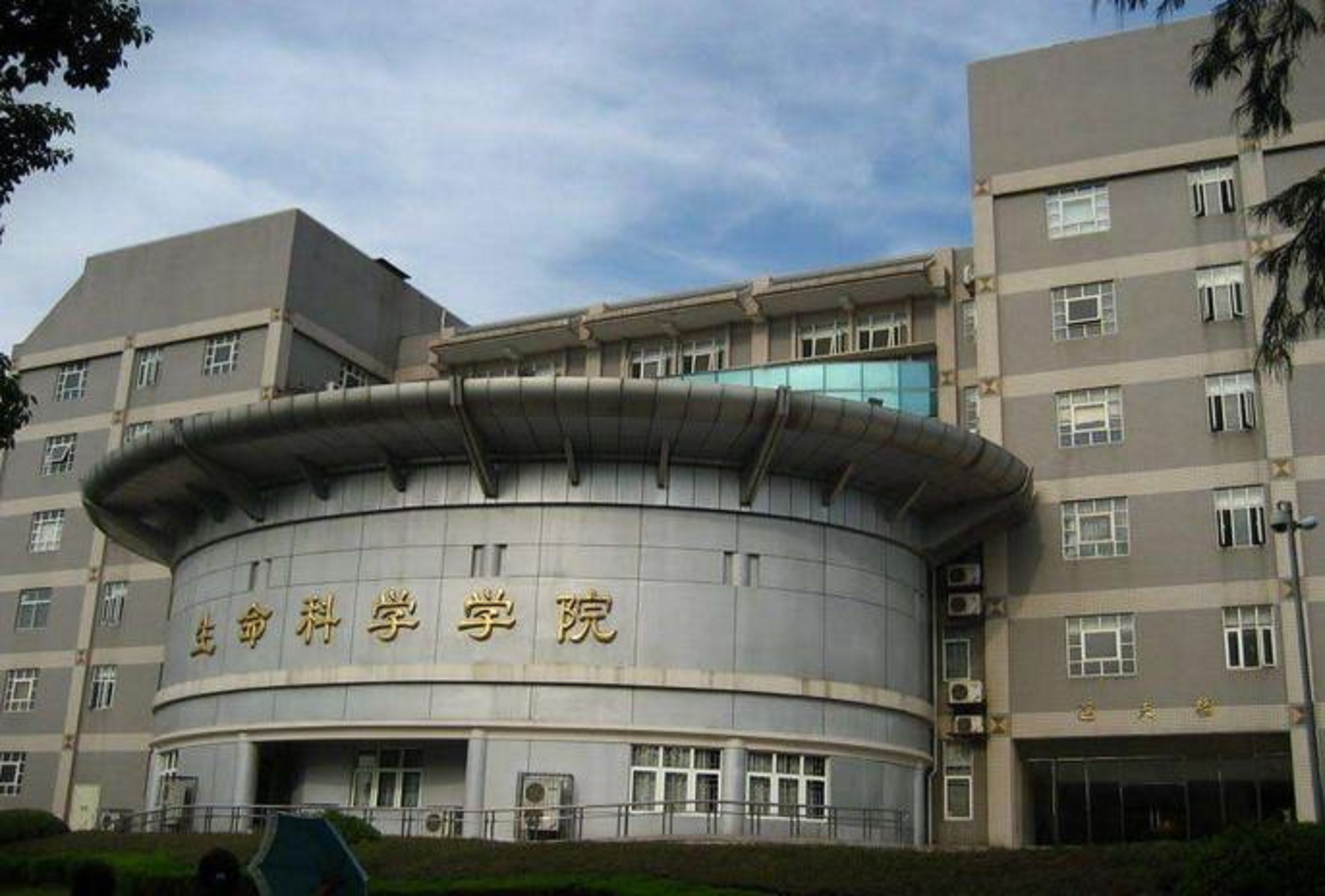 同济生命科学学院,同济生命科学学院王平