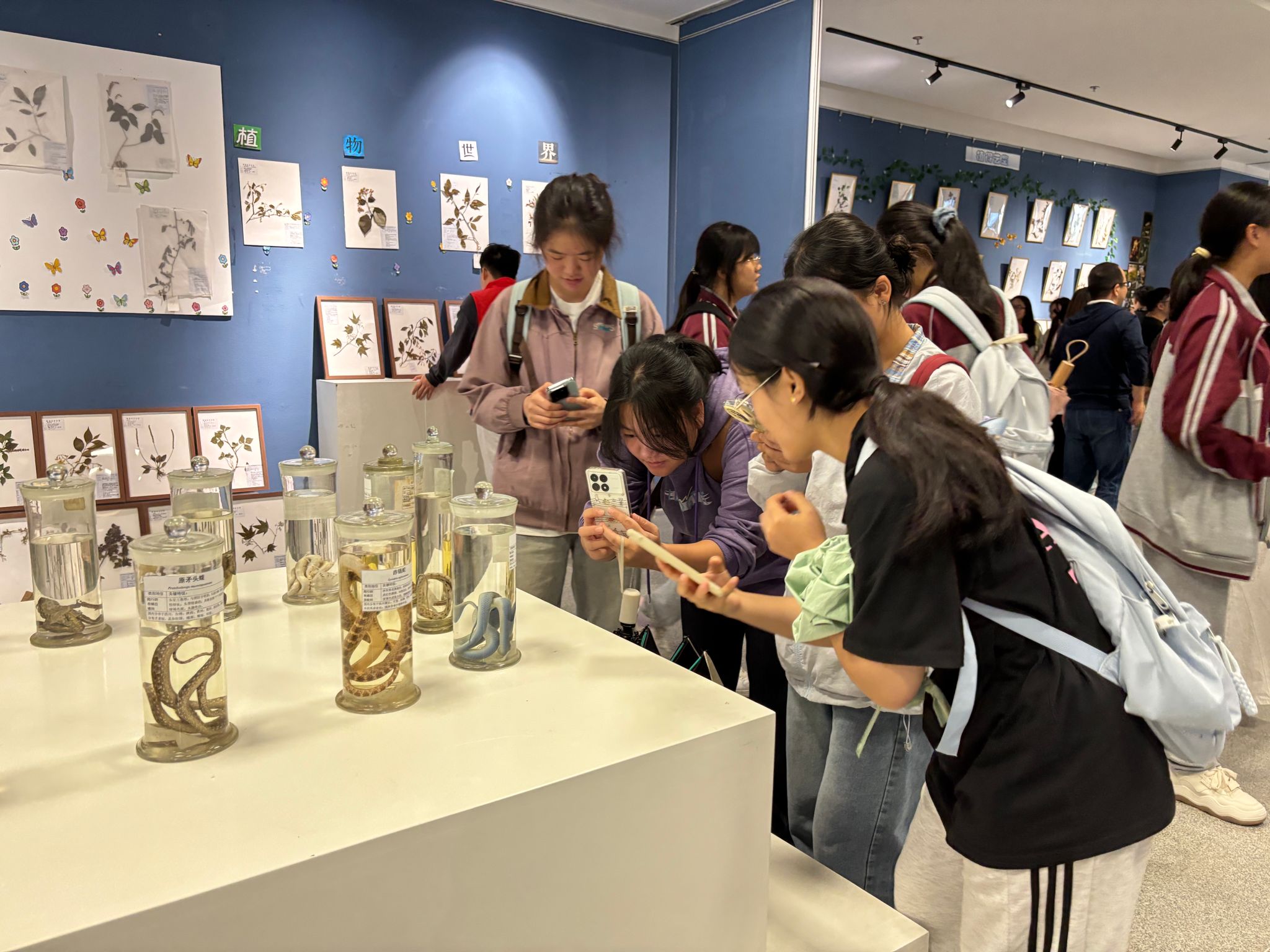 生命科学实践活动总结,生命科学实践活动总结怎么写