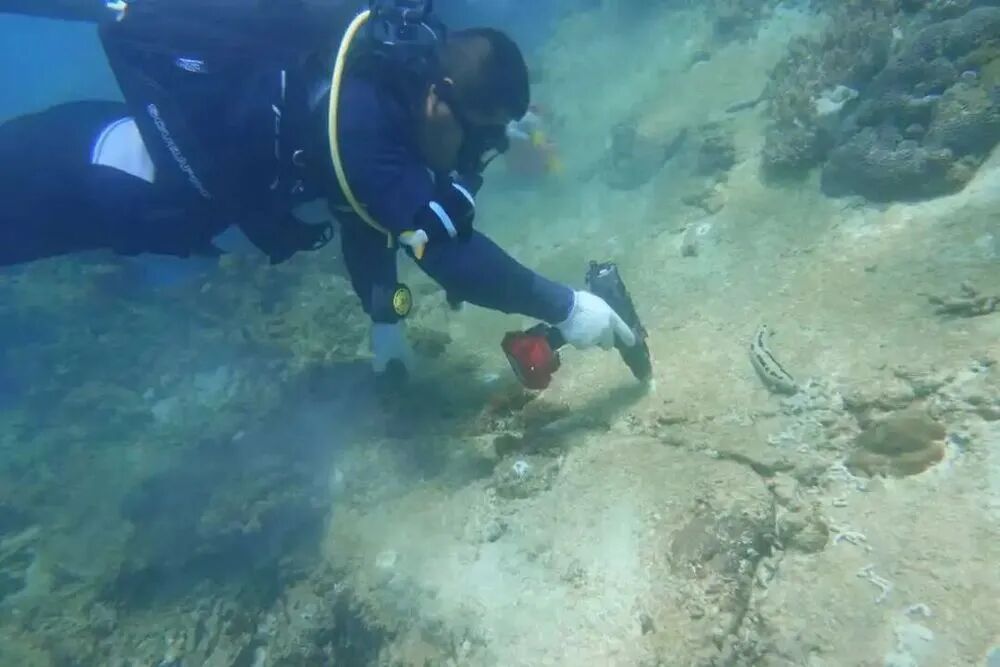 海洋地球科学专业综合,海洋地球科学专业综合能力测试 海洋地球科学专业综合,海洋地球科学专业综合能力测试