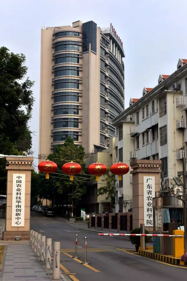 广东高校地球科学专业,地球科学专业就业率怎么样 广东高校地球科学专业,地球科学专业就业率怎么样