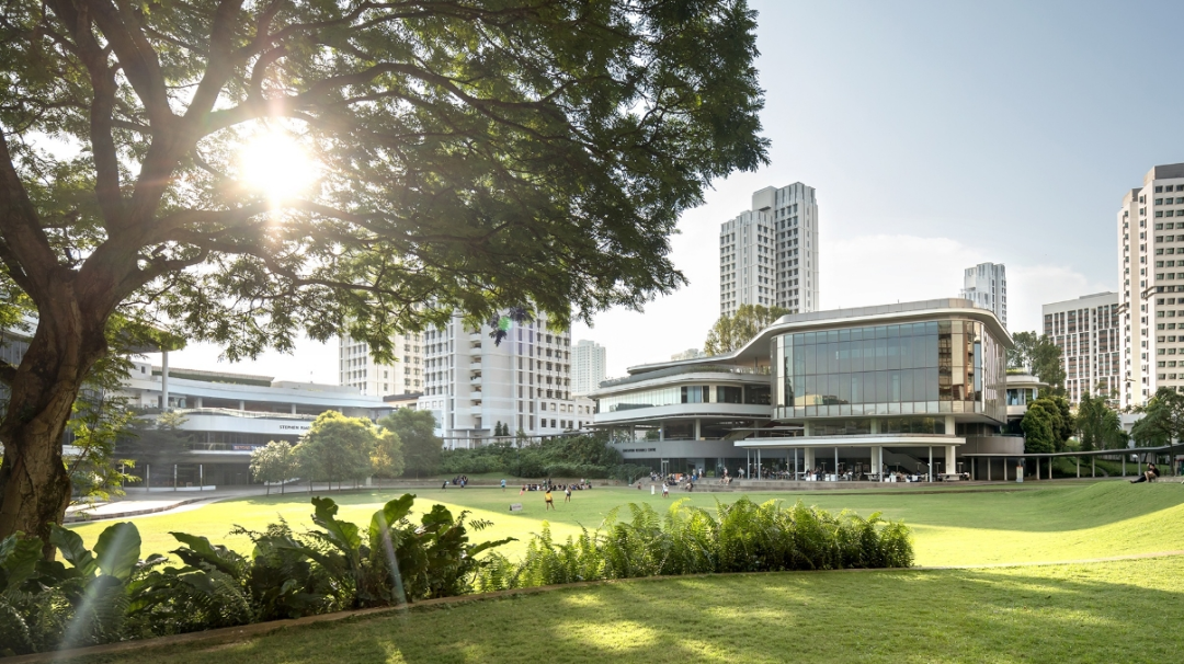 深圳国大生命科学院,深圳医科院和深圳先进院的区别
