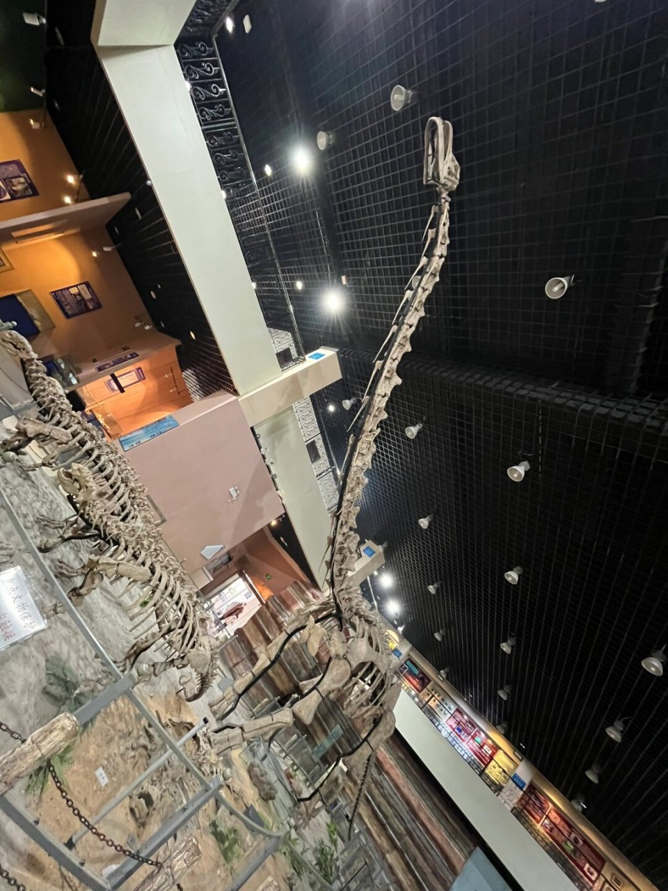 地球科学博物馆河北,河北地质大学地球科学博物馆介绍