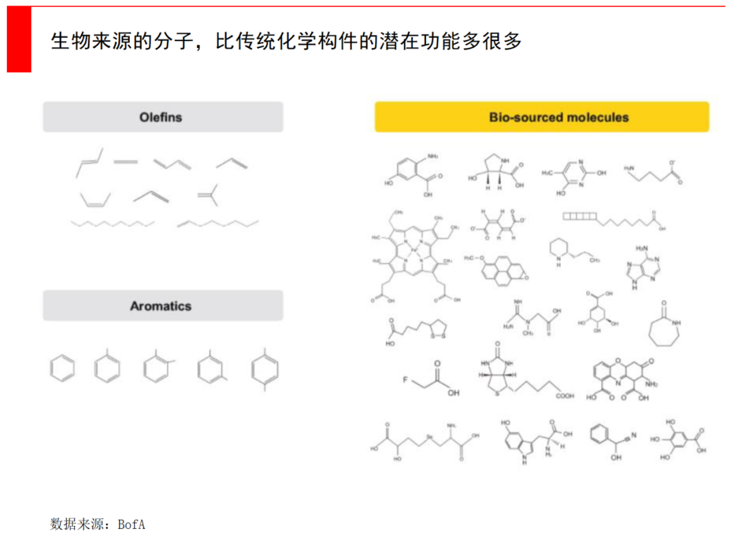 生命科学前沿网站,北京生命科学前沿学者论坛