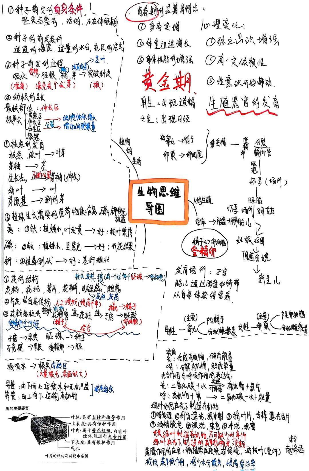 智慧树生命科学导论吧,知识森林智能导学的核心功能有哪些