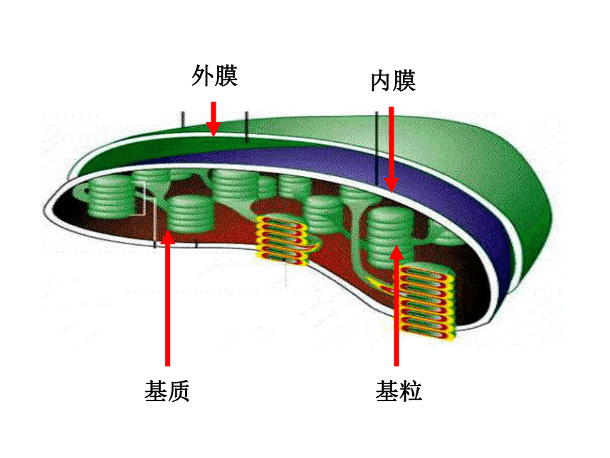 沪科版生命科学初中,沪教版八年级下册生命科学 沪科版生命科学初中,沪教版八年级下册生命科学