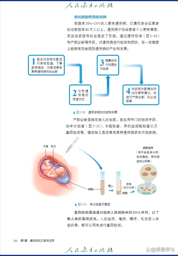 生命科学高一第二册,高一生物学第二章第一节思维导图