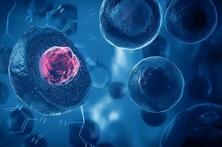 生命科学股票名单最新,生命科学股票名单最新消息 生命科学股票名单最新,生命科学股票名单最新消息
