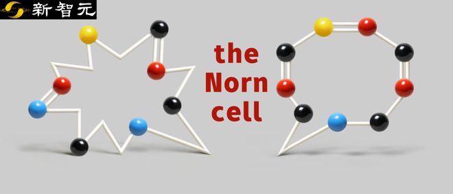 生命科学的时代来了吗,生命科学热门吗还是冷门