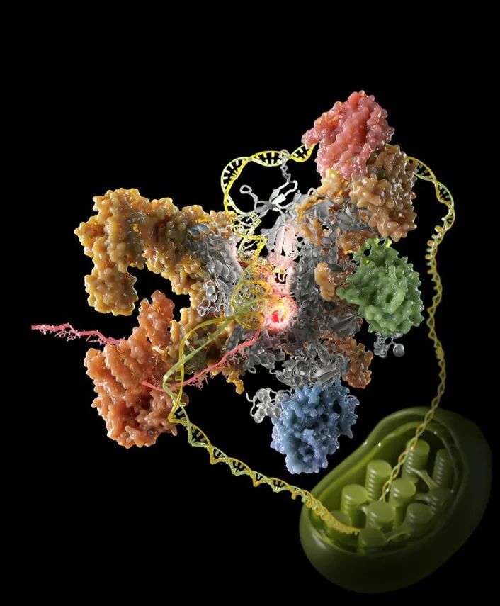 生命科学与柔性电子,生命科学与柔性电子专业就业前景