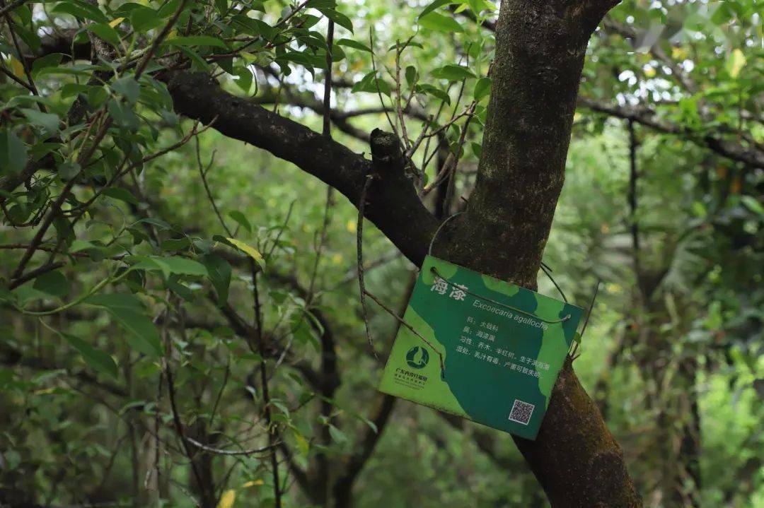 深圳生命科学馆免费吗,深圳生命科学馆免费吗现在 深圳生命科学馆免费吗,深圳生命科学馆免费吗现在