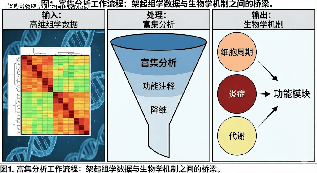 生命科学实验数据处理,生命科学实验数据处理规范 生命科学实验数据处理,生命科学实验数据处理规范