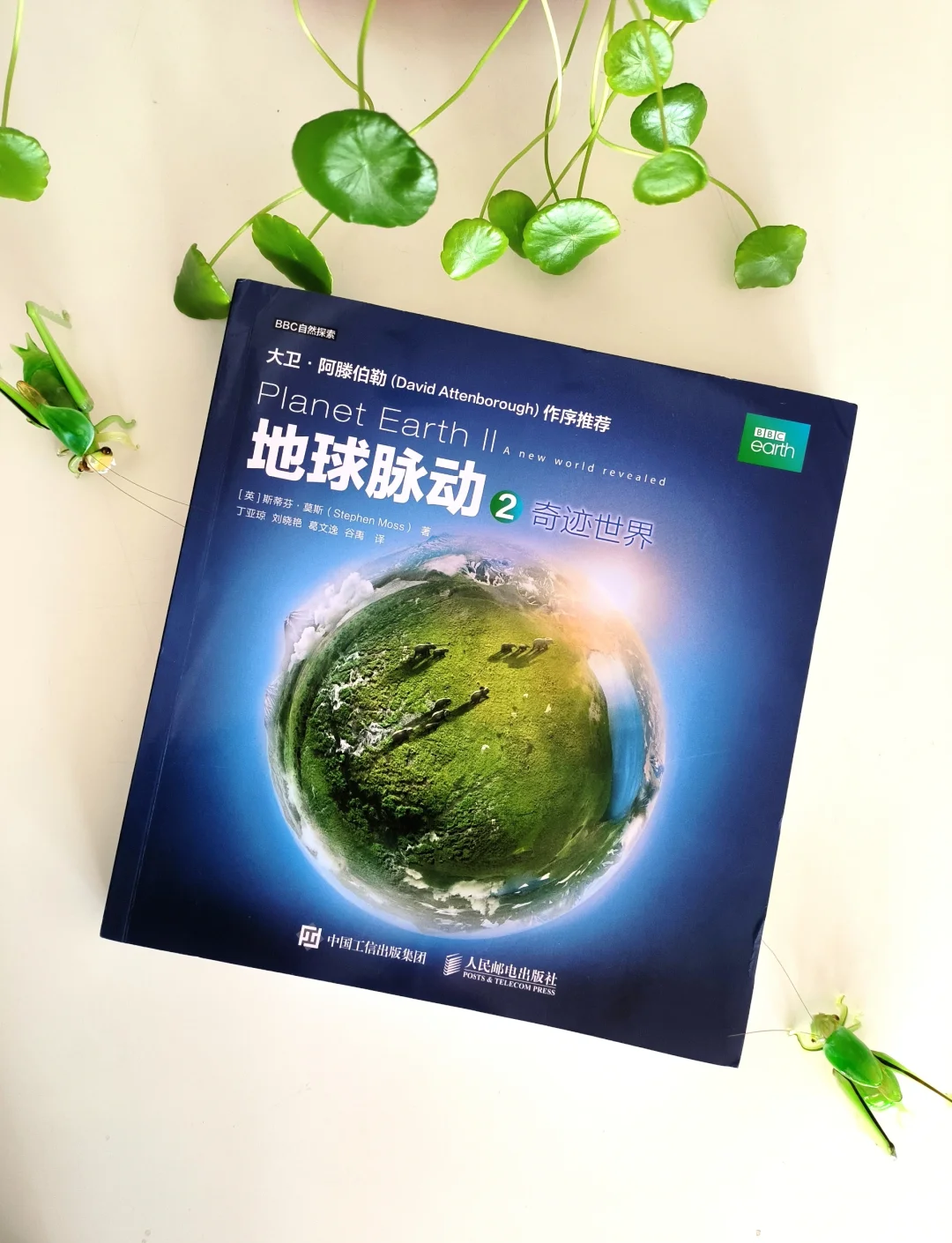 地球科学有增刊吗,地球科学与环境学报是中文核心吗