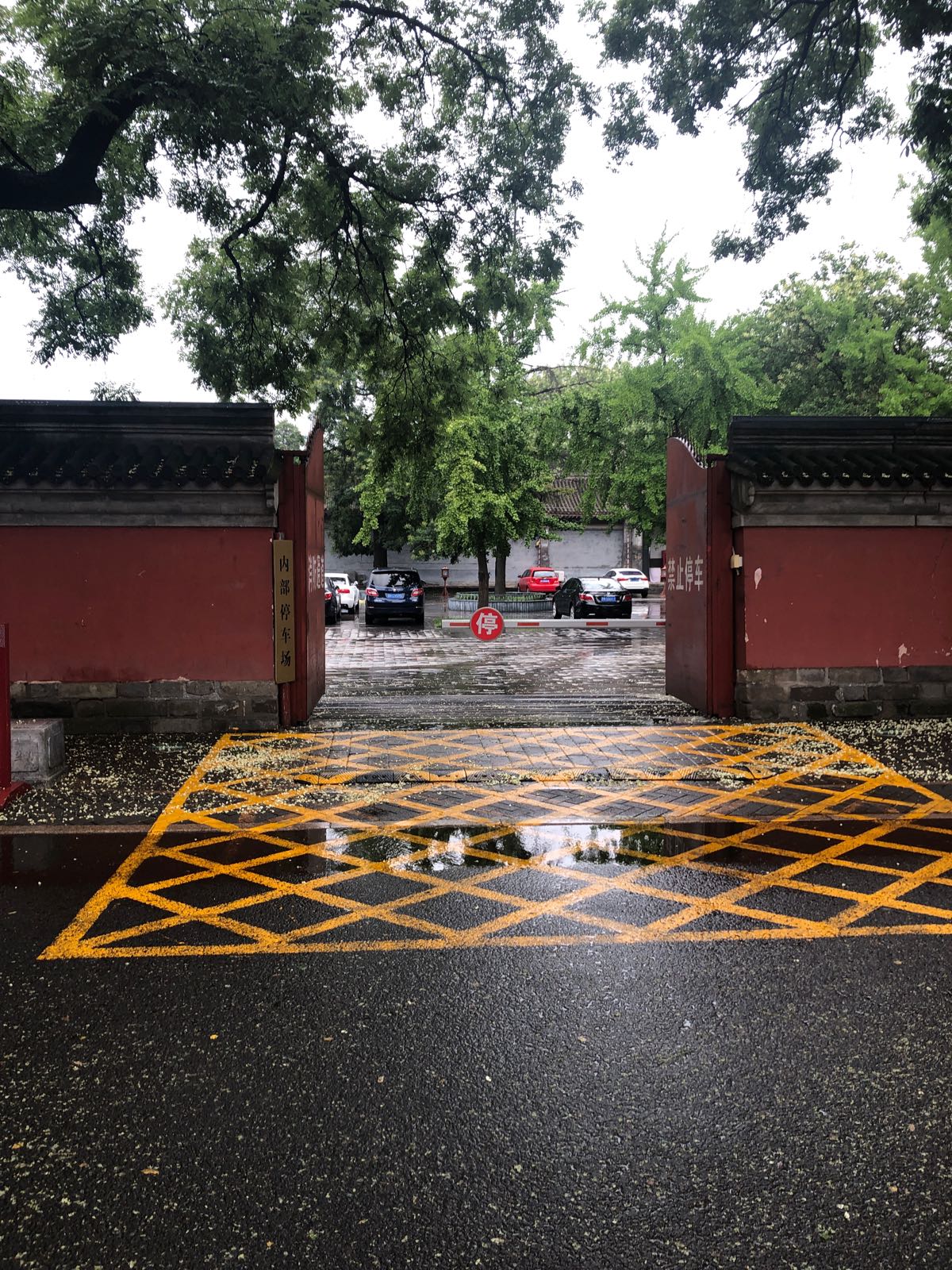 地球科学馆停车场,科学馆到青青世界怎么乘地铁 地球科学馆停车场,科学馆到青青世界怎么乘地铁