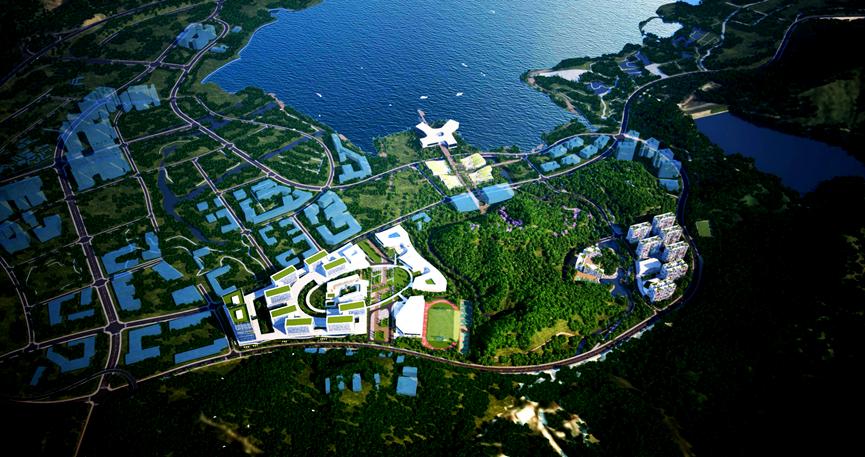 深大生命科学与海洋,深圳大学生物与海洋学院就业前景 深大生命科学与海洋,深圳大学生物与海洋学院就业前景