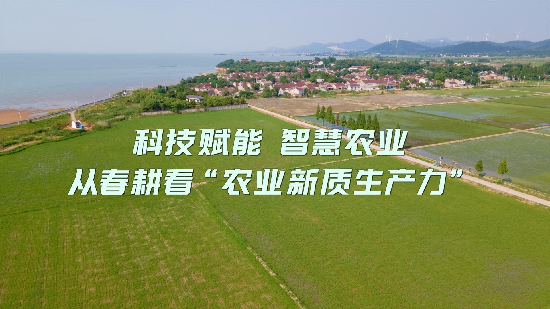 生命科学与智慧农业,生命科学与智慧农业学院官网