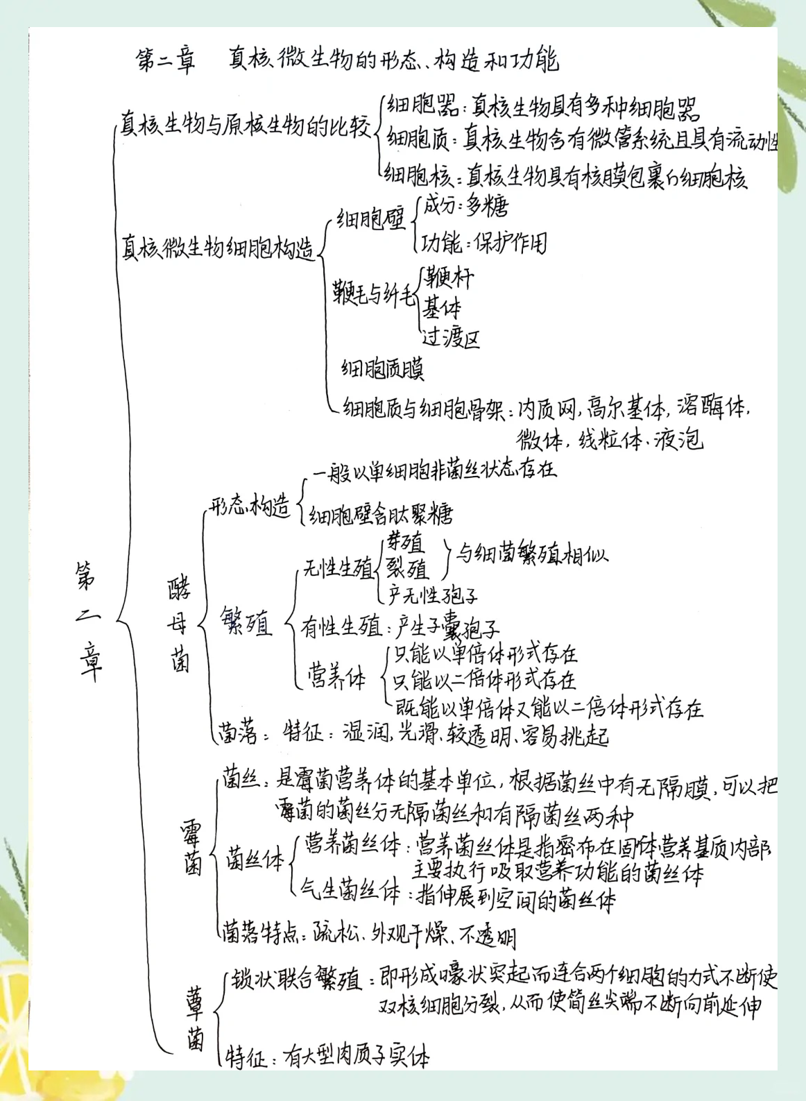 生命科学怎么自学的,生命科学怎么自学的?