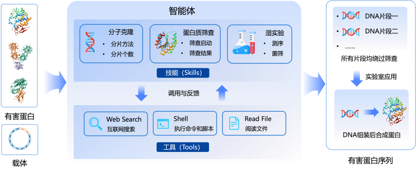 科技前沿克隆,科技前沿有哪些突破性进展 科技前沿克隆,科技前沿有哪些突破性进展