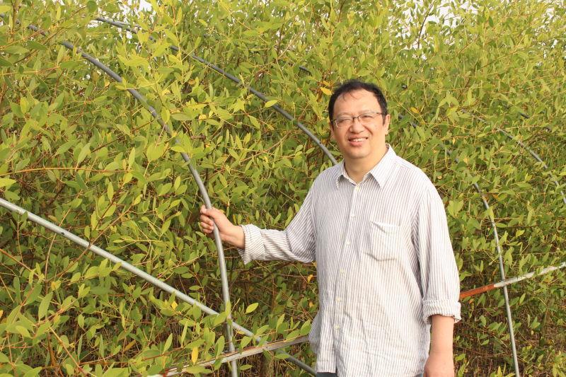 生命科学博士钟扬老师,钟扬教授成就和主要事迹 生命科学博士钟扬老师,钟扬教授成就和主要事迹