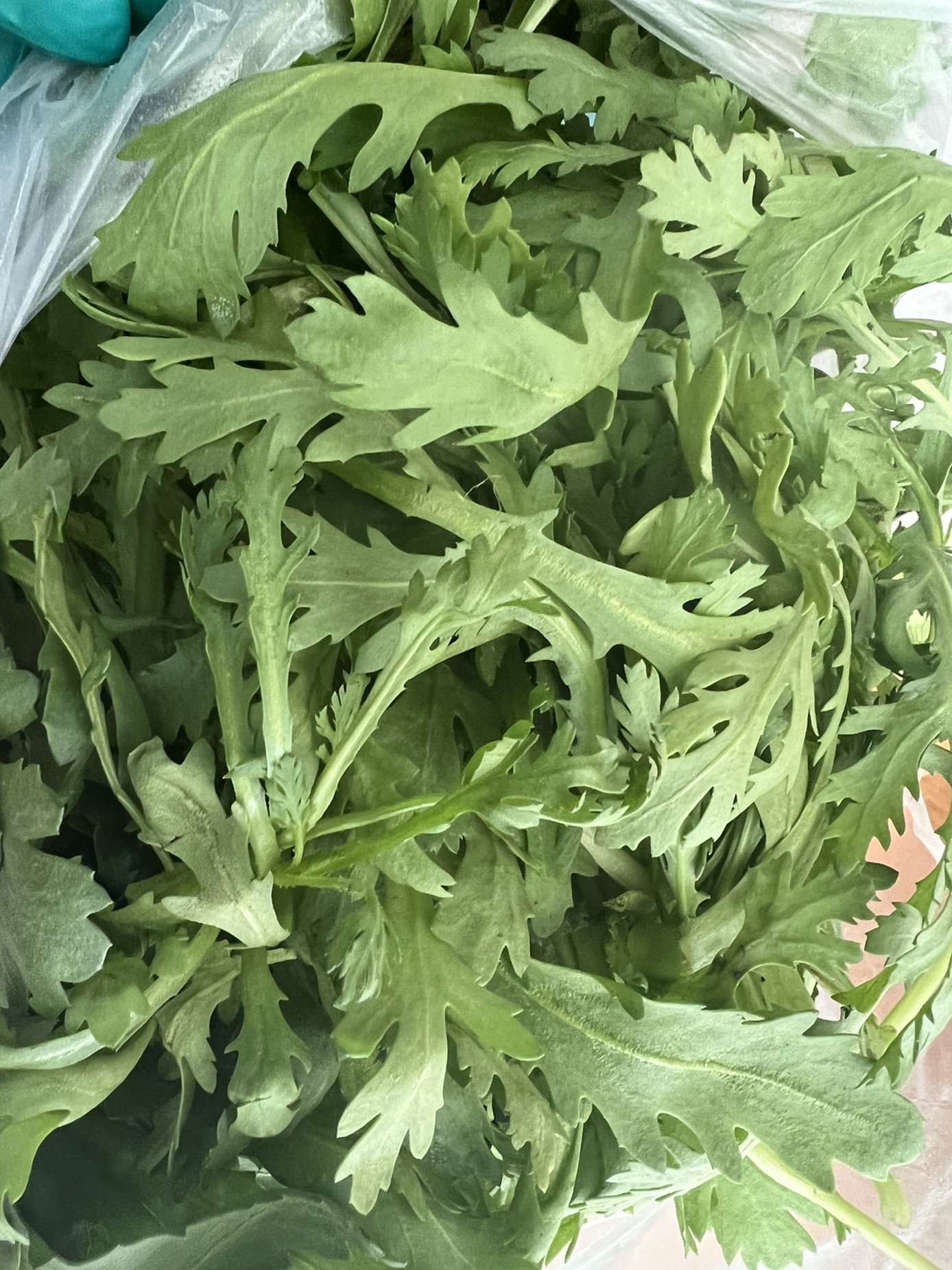白蒿怎么做好吃,白蒿怎么做好吃能和芹菜一起吃吗有毒吗