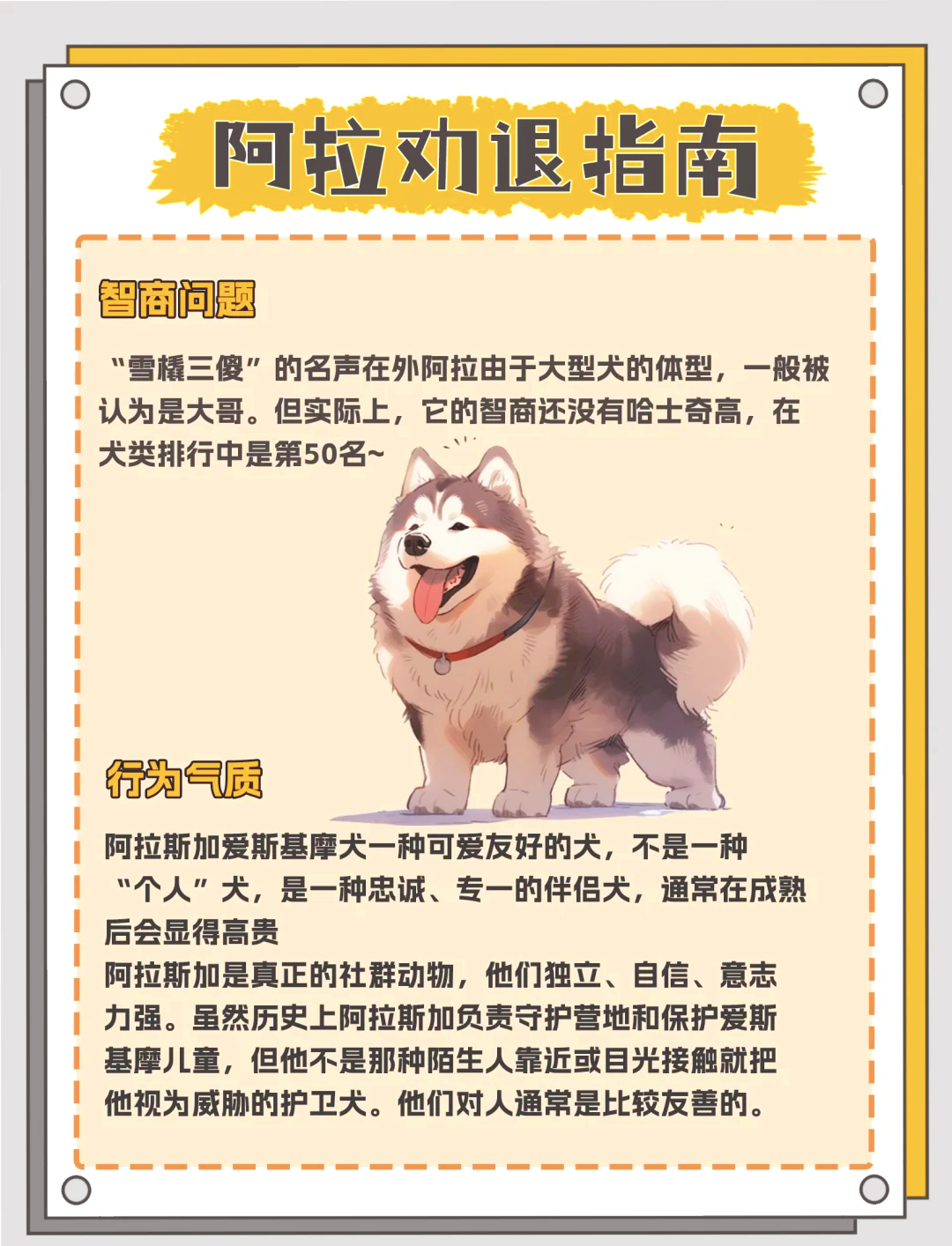 阿拉斯加怎么训练,阿拉斯加如何训练服从性