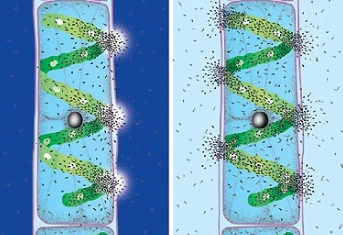 微同生命科学,卫光生命科学园租金 微同生命科学,卫光生命科学园租金