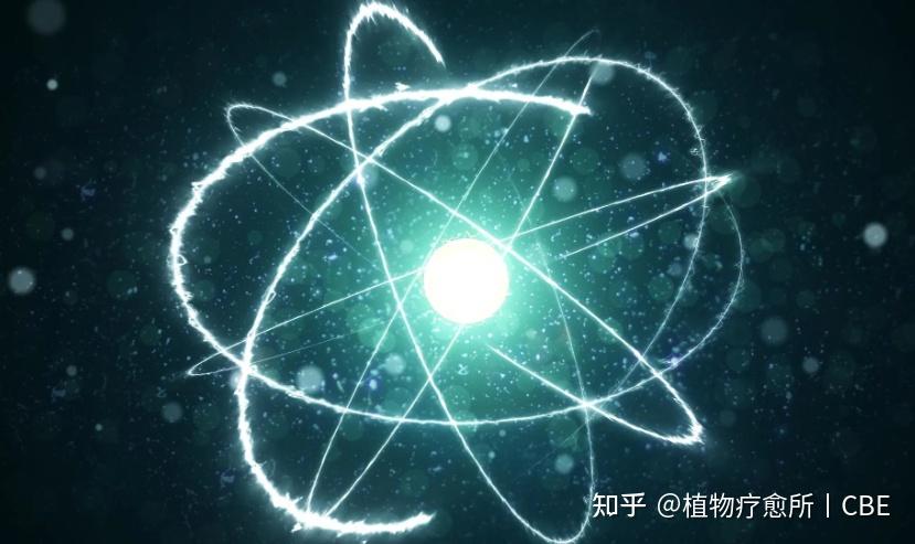 生命科学疗愈心得体会,生命科学疗愈心得体会怎么写
