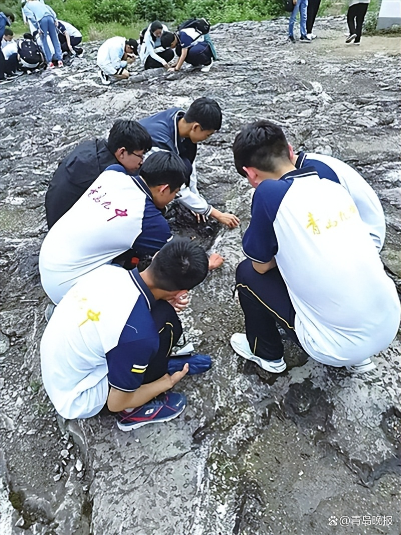 泰和中学地球科学竞赛,泰和中学地球科学竞赛成绩