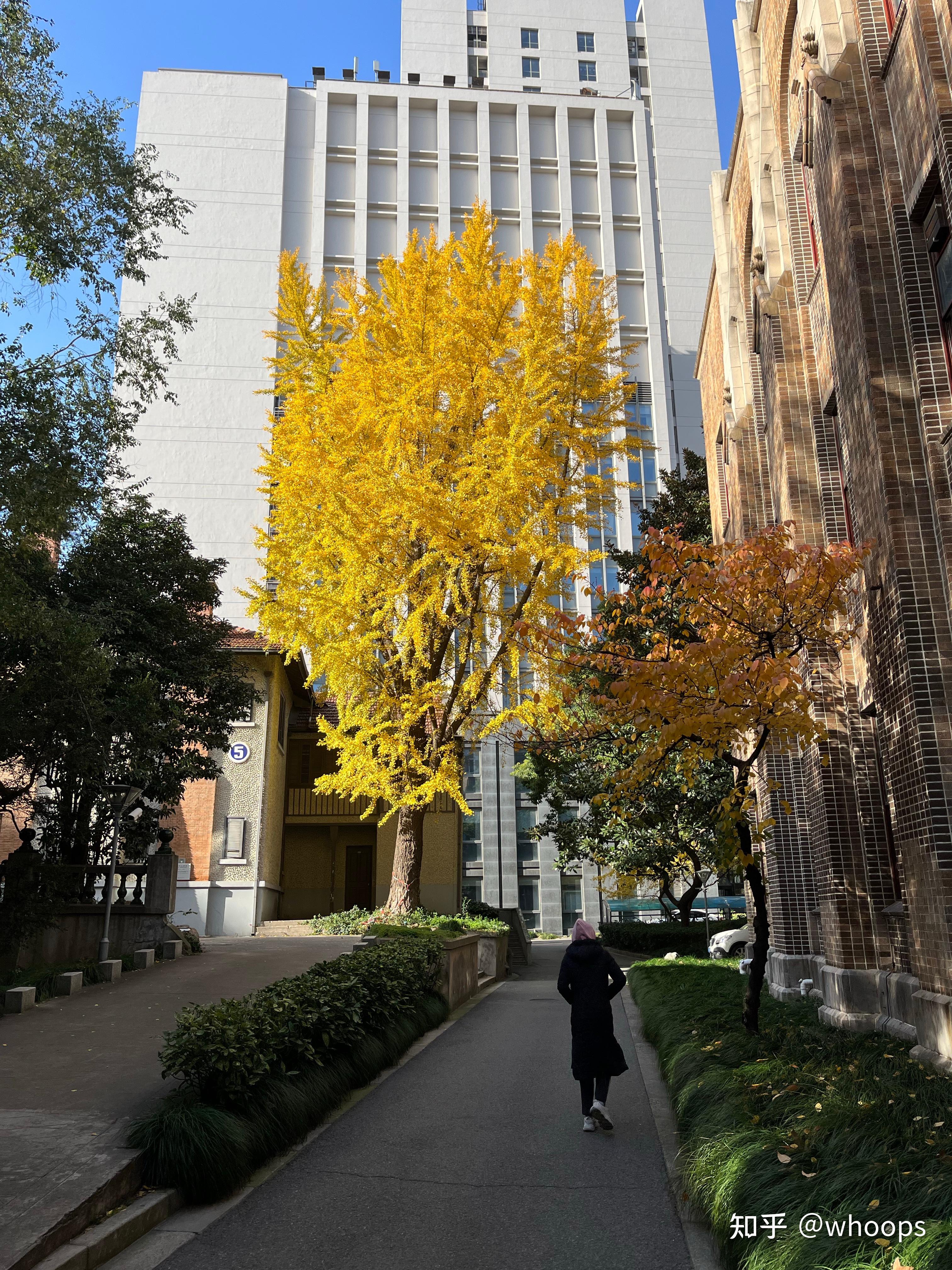 青欧生命科学研究院,青欧生命科学研究院怎么样 青欧生命科学研究院,青欧生命科学研究院怎么样