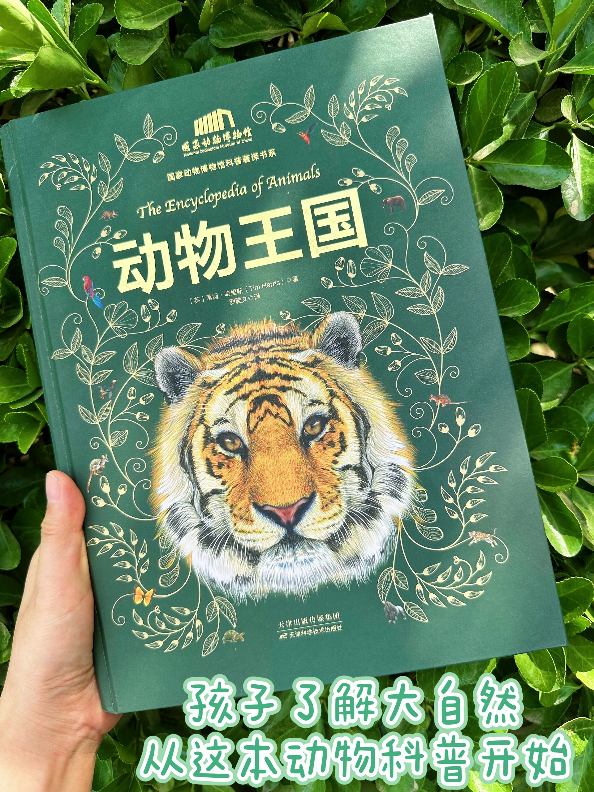 生命科学动物书籍推荐,生命科学动物书籍推荐有哪些 生命科学动物书籍推荐,生命科学动物书籍推荐有哪些