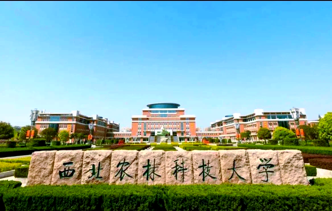 西农考研生命科学,西农考研生命科学学院官网 西农考研生命科学,西农考研生命科学学院官网