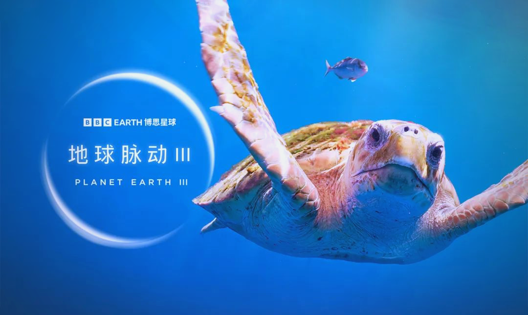 地球科学科普纪录片,10部适合孩子看的科普纪录片 地球科学科普纪录片,10部适合孩子看的科普纪录片