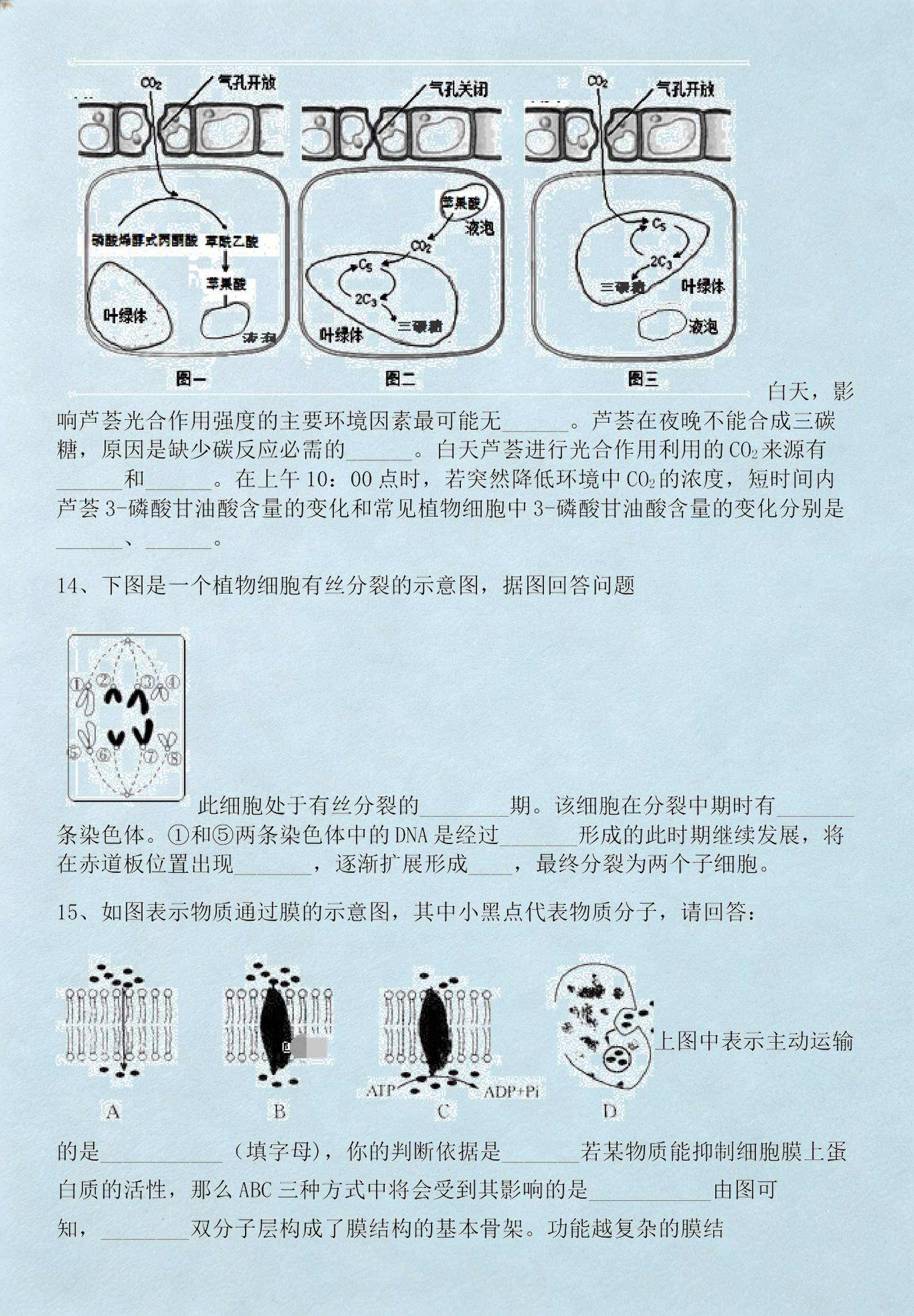 上海生命科学考卷,上海生命科学等级考试 上海生命科学考卷,上海生命科学等级考试